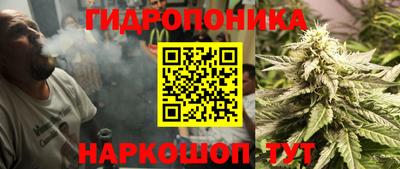 дмт Волгодонск