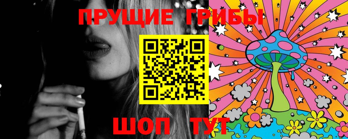 Галлюциногенные грибы Psilocybe Белогорск