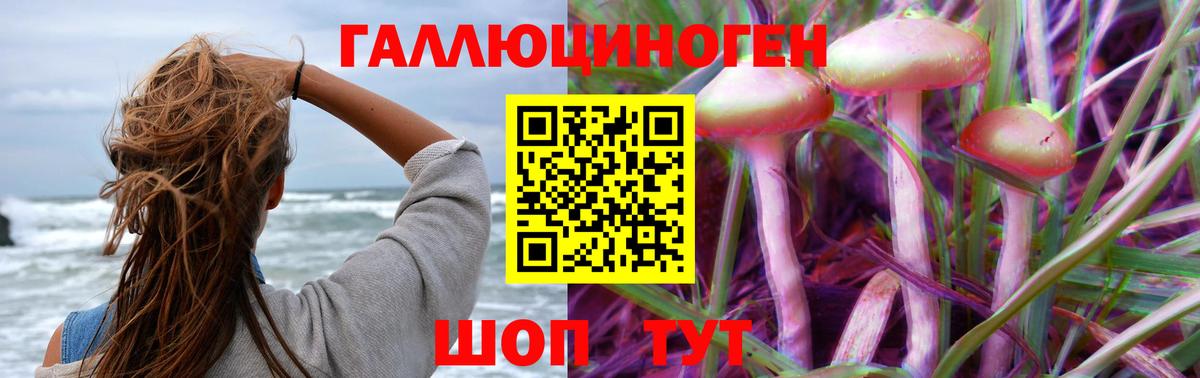 Псилоцибиновые грибы прущие грибы  Вход с VPN  Белогорск 
